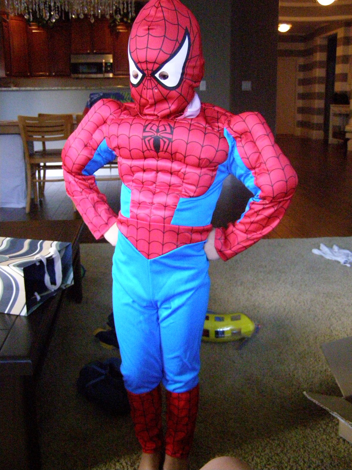 [Spider+man.JPG]