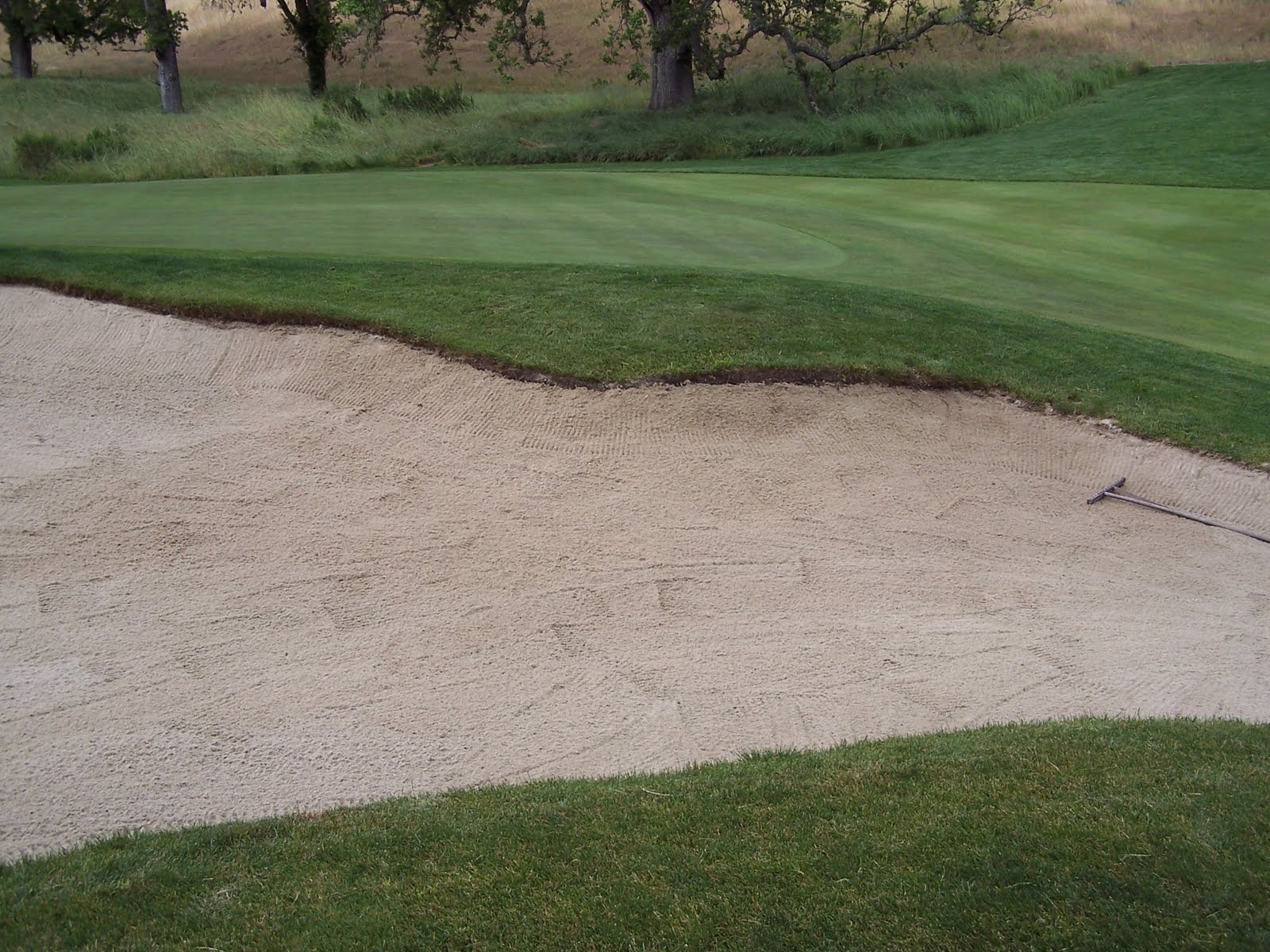 Santa Lucia Preserve Small Ornamental Grass Removal Project