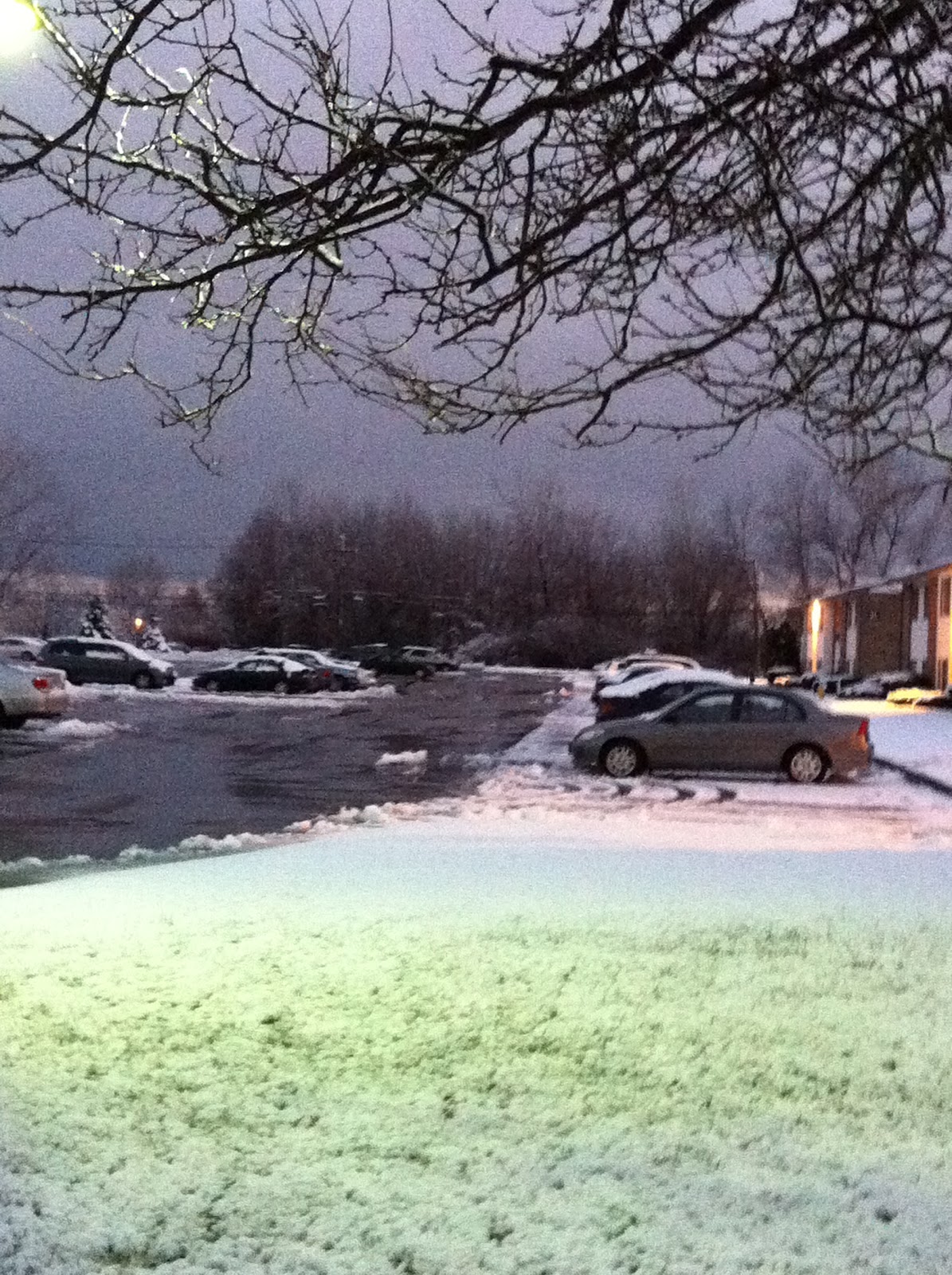 Musings Rochester Snow