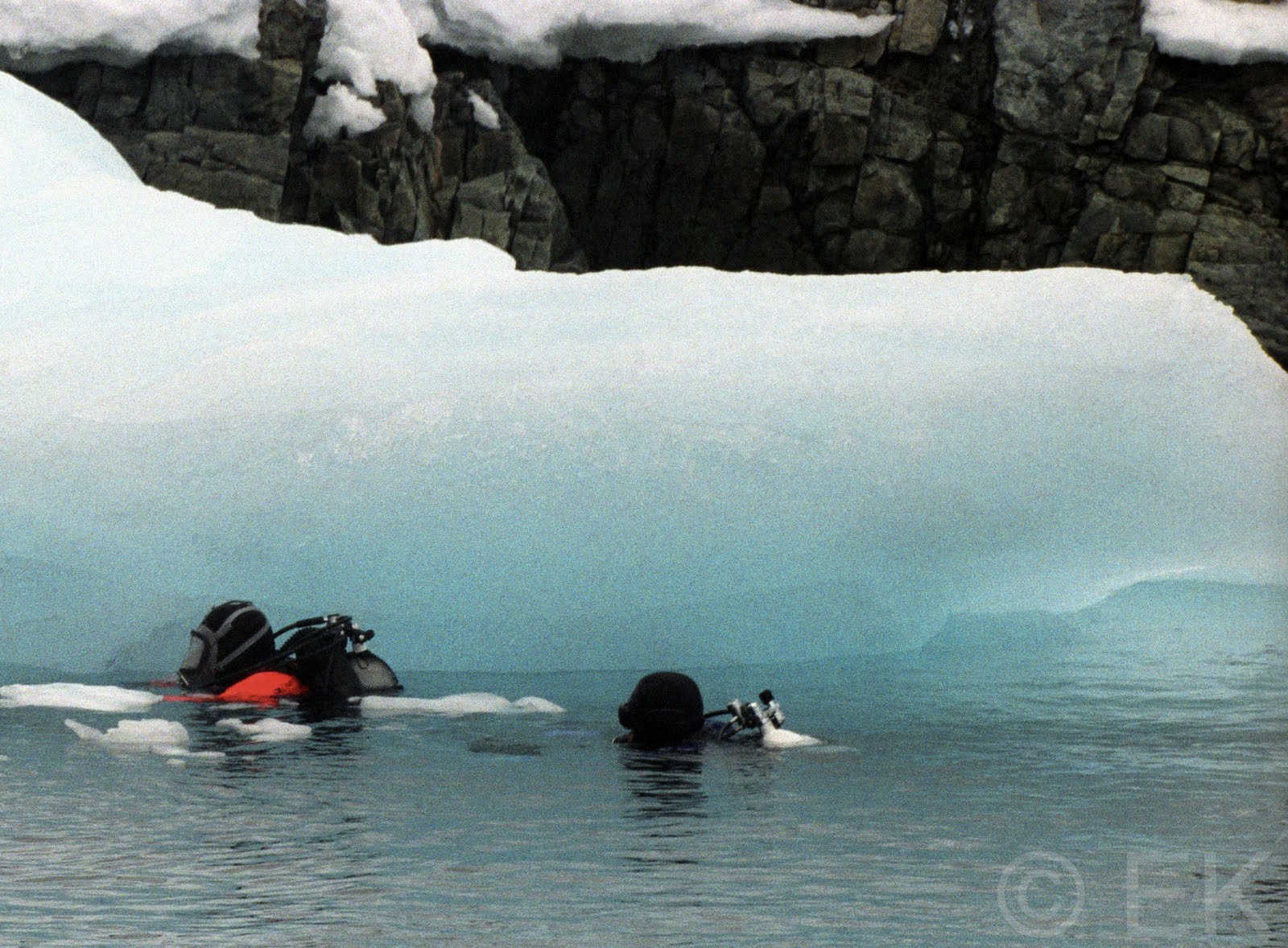 Arctic Fever: Adventure and Ordinary Travel Tips: Penguins in Alaska