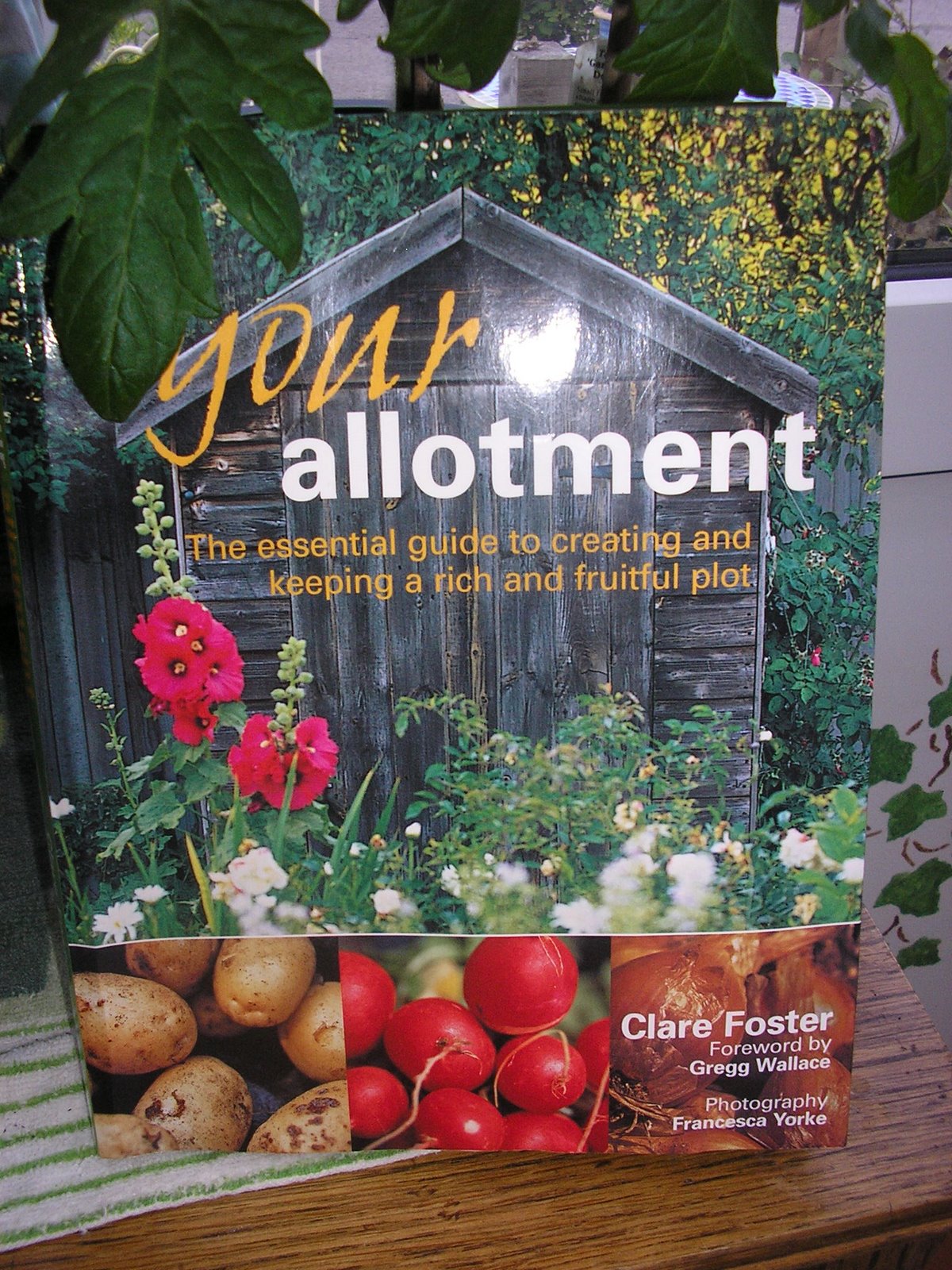 "YOUR ALLOTMENT" by Clare Foster