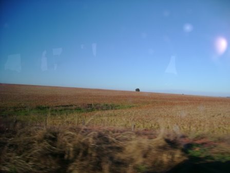 [DSC05964.JPG]
