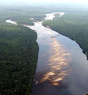 [amazonianossa191008_cap.jpg]