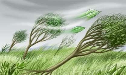 [SOPRO+DAS+VENTANIAS.bmp]