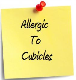 Allergic To Cubicles