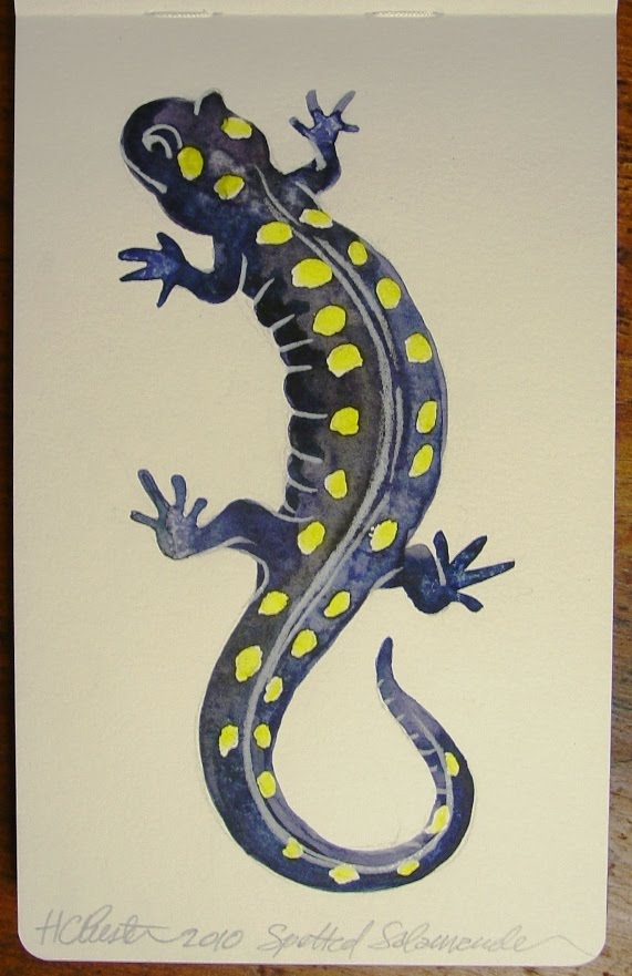 Moleskine Exchange: Spotted Salamanders & Abstract Comic?