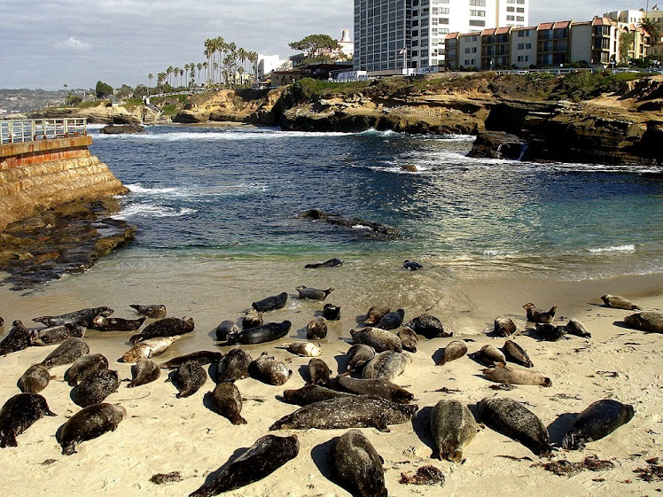 La Jolla