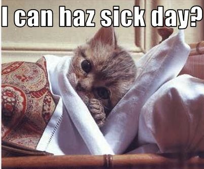 1260207524-sick_day.jpg