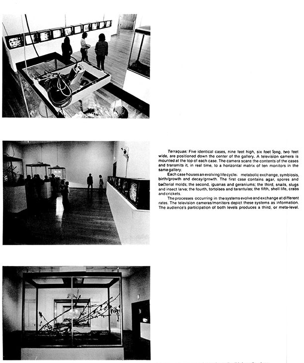 Visual Culture and Evolution: An Online Discussion: 4/11: Understanding how Visual Culture and Evolution: An Online Discussion: 4/11: Understanding how