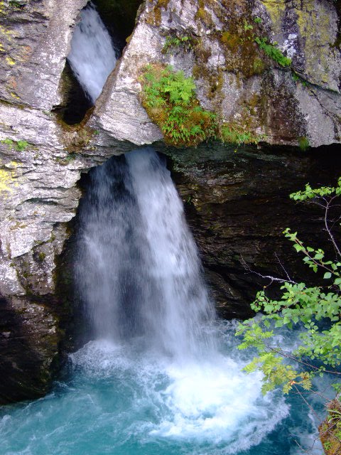 [DSCF5568.JPG]