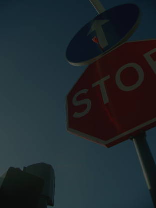 [not+to+say+everything.JPG]