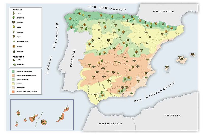 VEGETACIÓN DE ESPAÑA