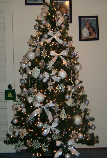 December 2010 ~ The Dias Family Adventures