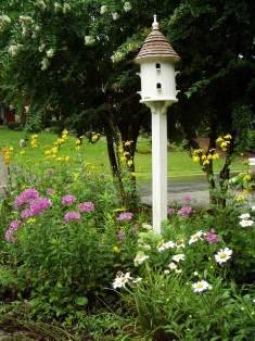 Bluebirds Feeding their babies in the dovecote, click on pic below to see more...
