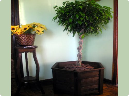 [sem+tÃ­tuloVV.bmp]