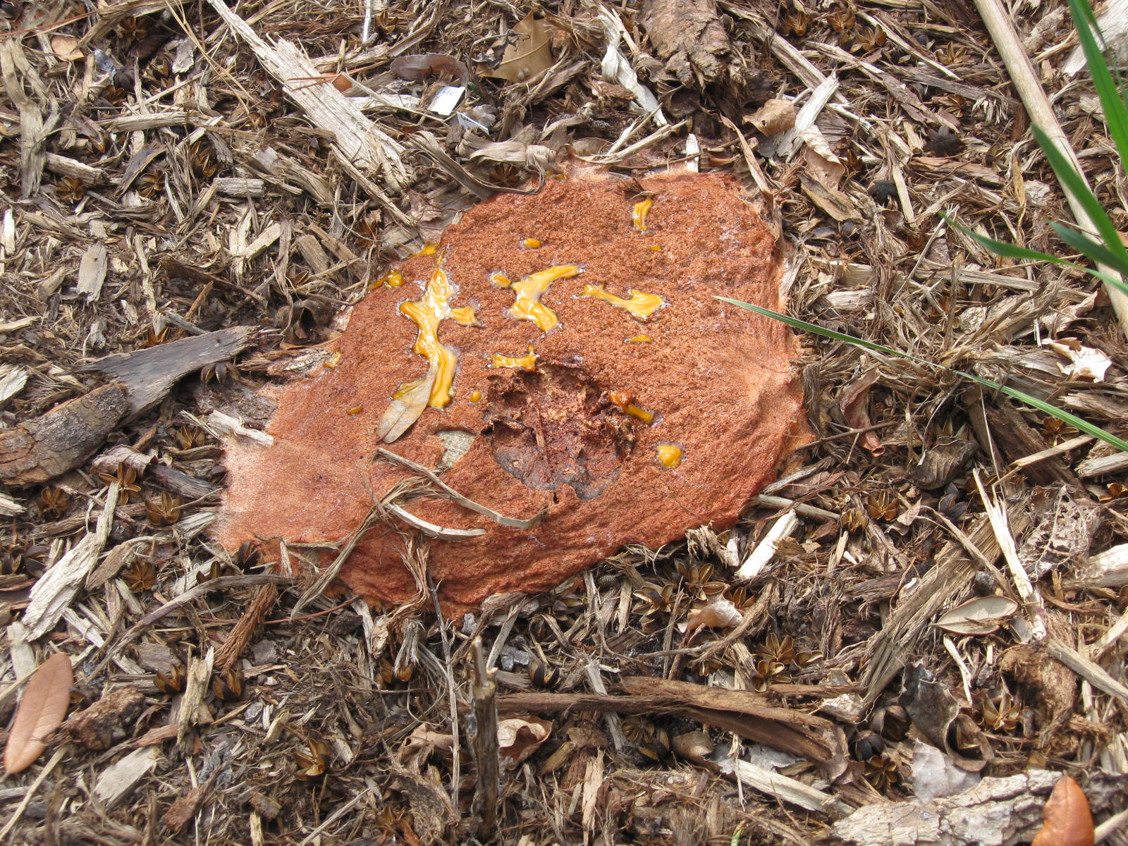 Gardening From the Ground Up SPRING PREP