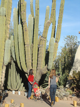 December in Arizona