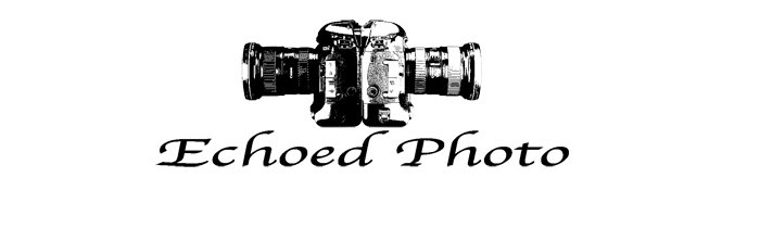 Echoed Photo