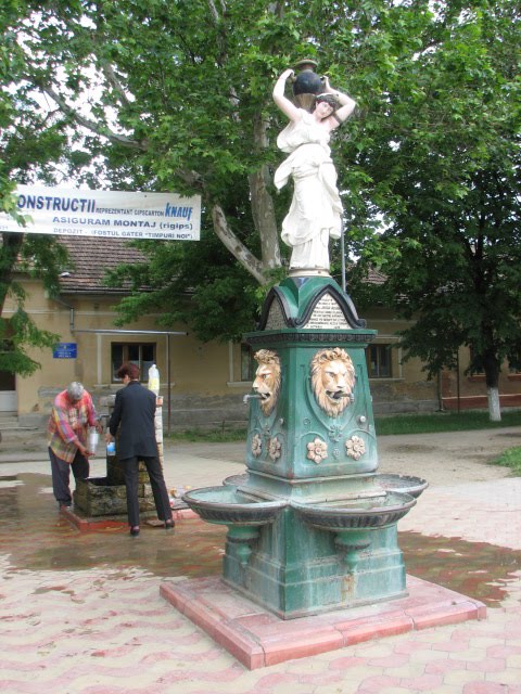 [IMG_1183.jpg]