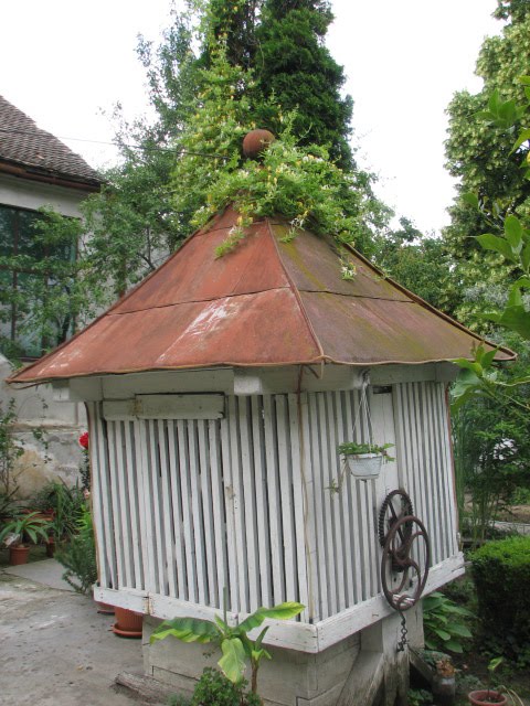 [IMG_1169.jpg]