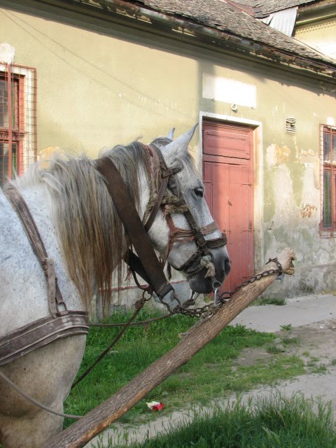 [IMG_1320.jpg]