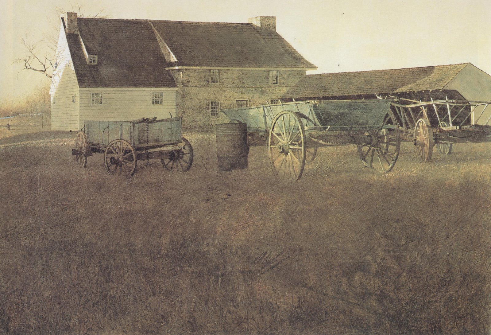 [wyeth+marsh+hawk.jpg]