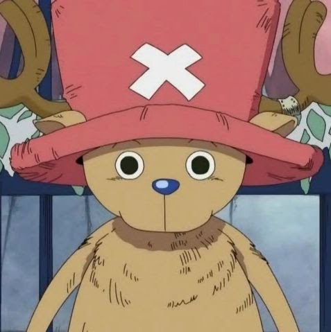 One Piece Tony Tony Chopper the Japanese Raccoon Dog Real-Life Tanuki
