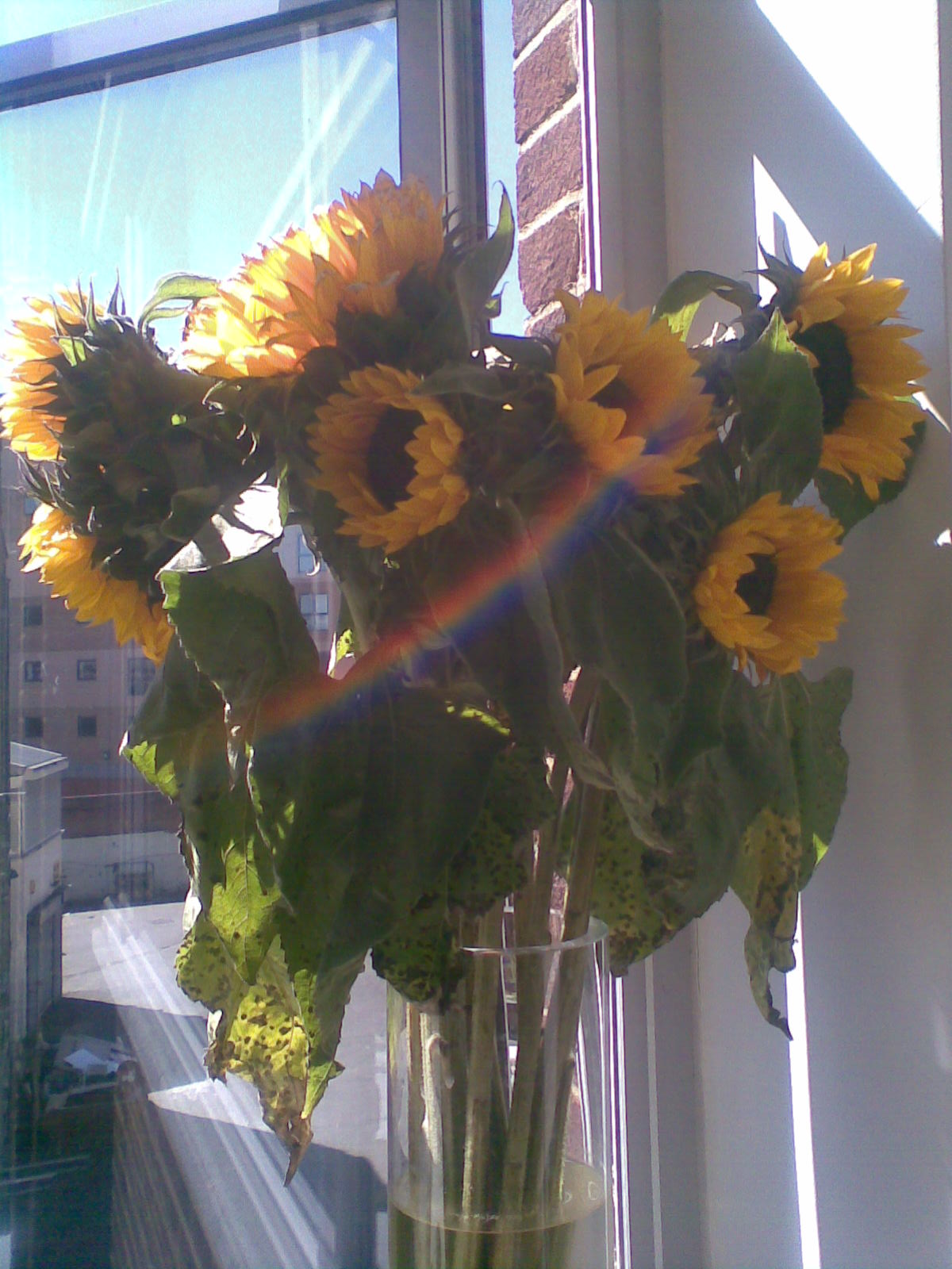 [Image004.jpg]