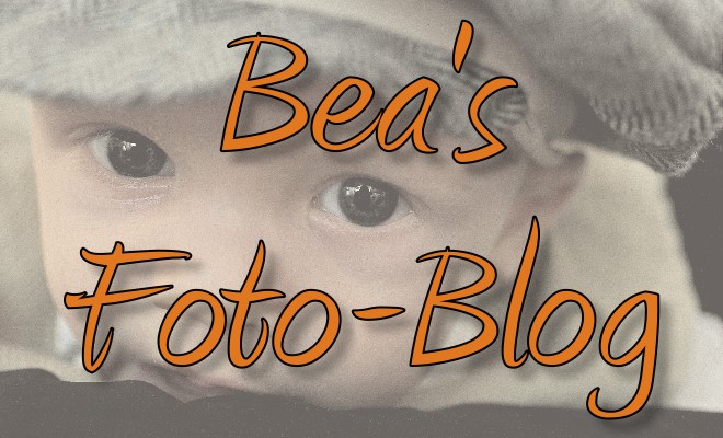 Bea's Fotoblog