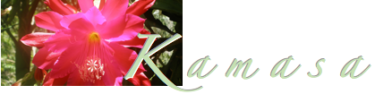 Kamasa
