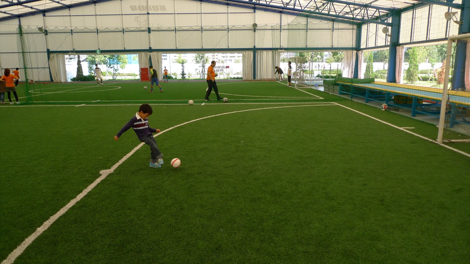 My Little Koalas! Sports Day at Work