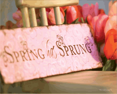 [Spring.gif]
