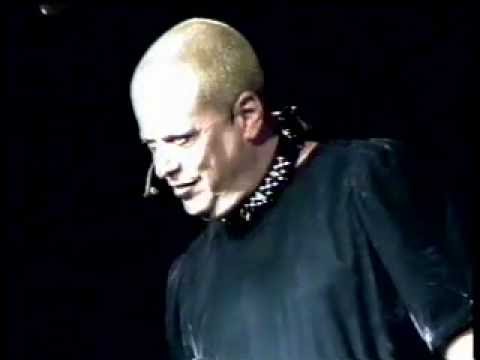 Ron Bunts Secret Life The Shocking Truth Revealed - 581ceay