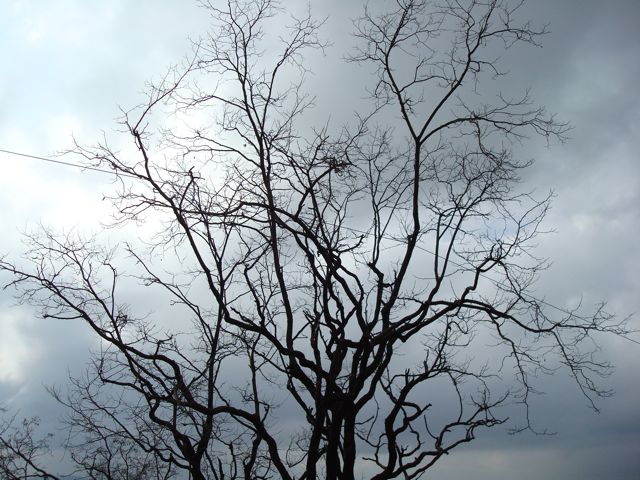 [DSC01808.jpg]
