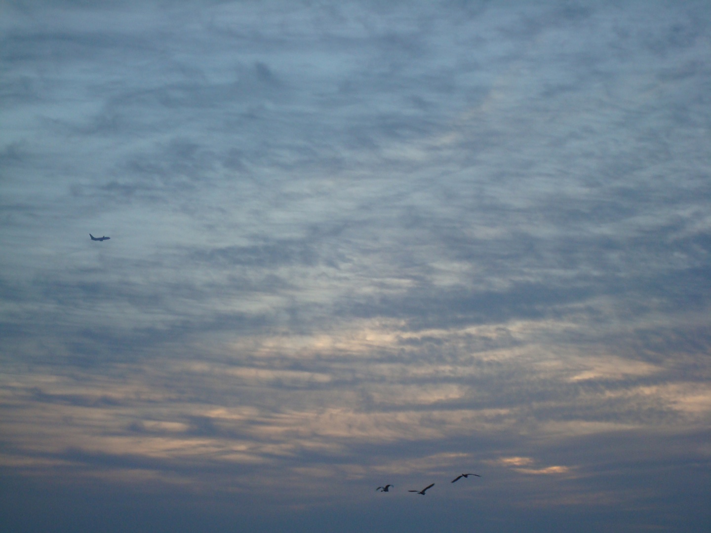 [DSC02053.jpg]