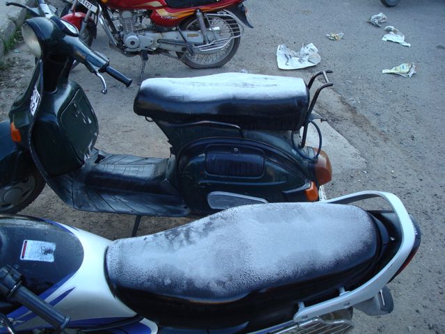 [DSC02339.jpg]