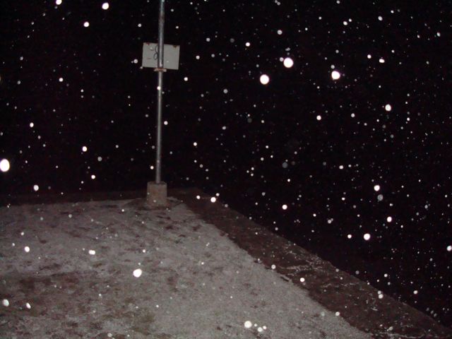 [DSC09487.jpg]