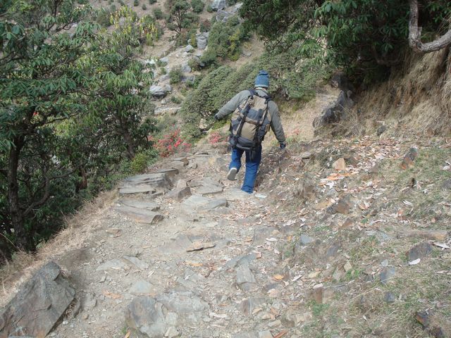 [DSC09580.jpg]