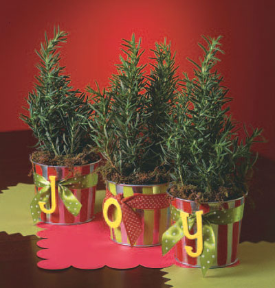 Marsha Harris Scott Splenderosa: Christmas Centerpieces