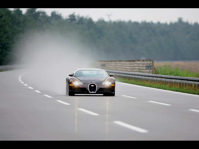 [2006-bugatti-veyron-targa-florio-f-track.jpg]