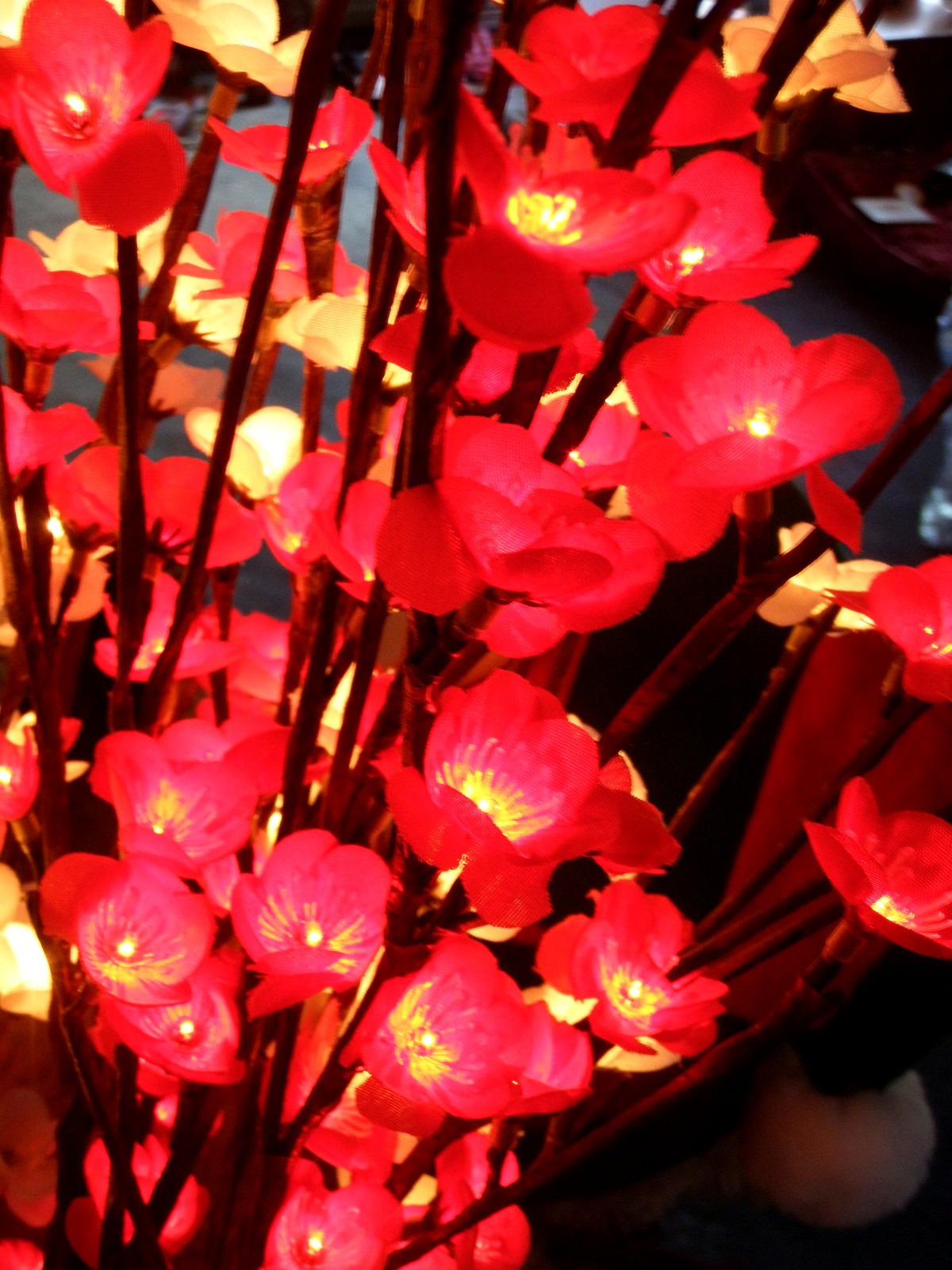 green and white garden: November 2010