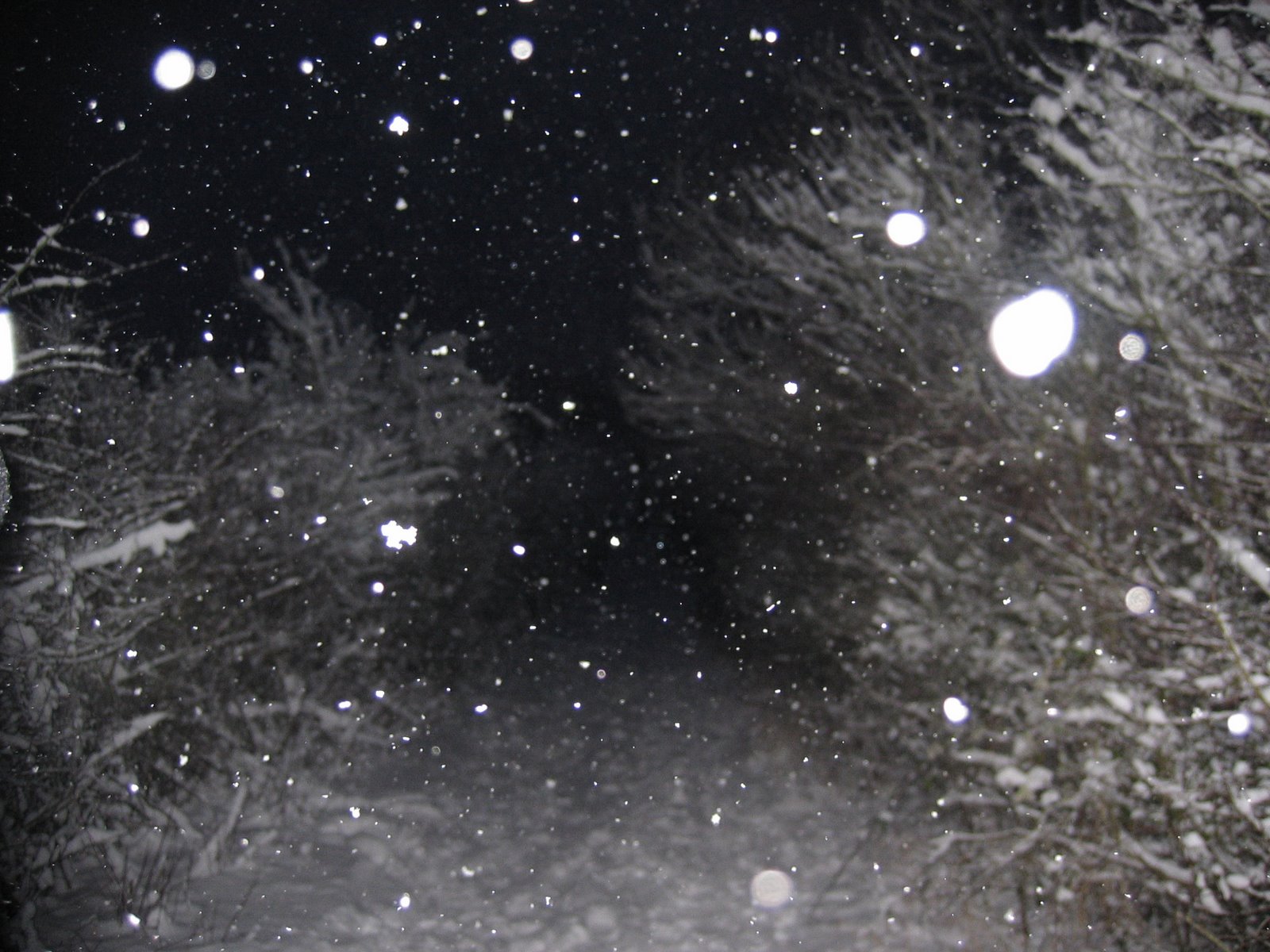 [Snow+Alley.jpg]