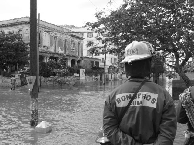 [Imagen+021-732730.jpg]