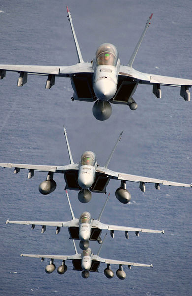 [FA-18.jpg]
