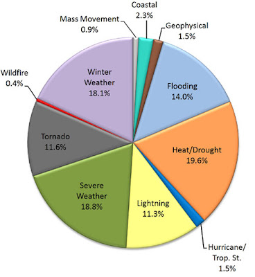 Pie Chart Of Natural Disaster