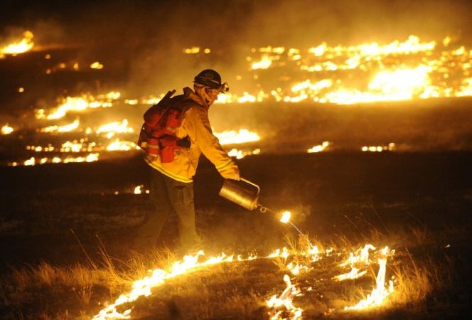 [Neva_fire_Boulder_drip_torch.jpg]