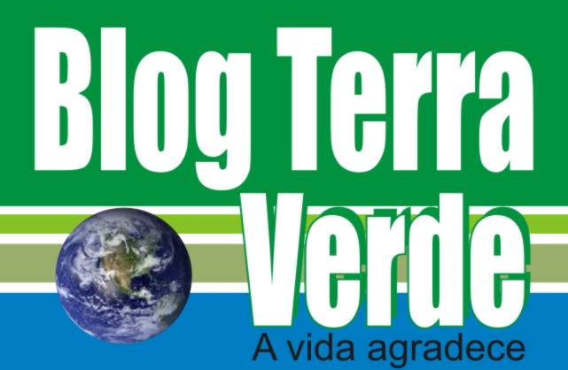 Blog Terra Verde
