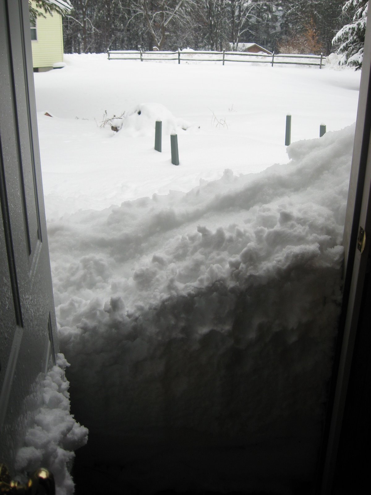 [IMG_0939_rotated.JPG]