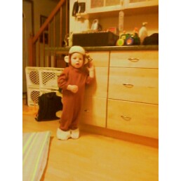 [image-upload-713362.jpe]