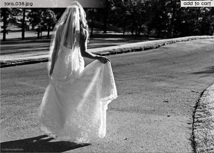 [walking.bmp]